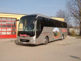 Reisebus 49+1